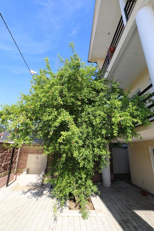 Rozalin Guest House Gudauta Dış mekan fotoğraf